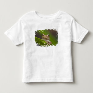 Common coqui, Eleutherodactylus coqui Toddler T-shirt