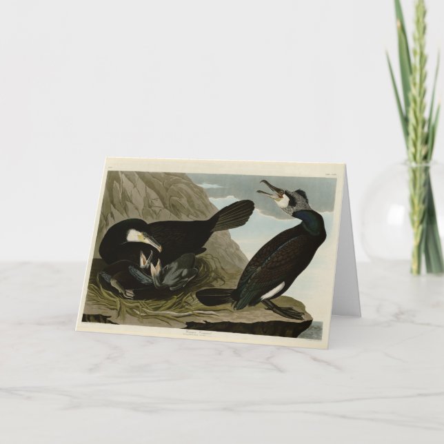 Common Cormorant - from Audubon's Birds of America Card (Front)