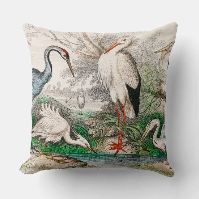 Common Crane, White Stork, Gigantic Crane, Common  Throw Pillow (Front)
