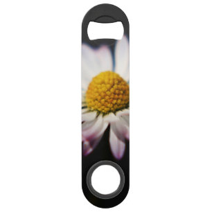 Common Daisy bocna Bar Key