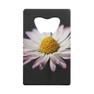 Common Daisy bocna Credit Card Bottle Opener