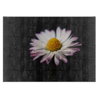 Common Daisy cbcna