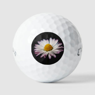 Common Daisy css gbm Golf Balls
