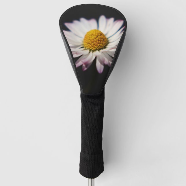 Common Daisy dccnm Golf Head Cover (Front)