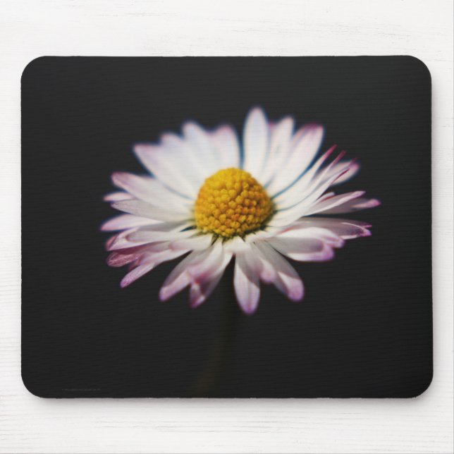 Common Daisy mpcna Mouse Pad (Front)