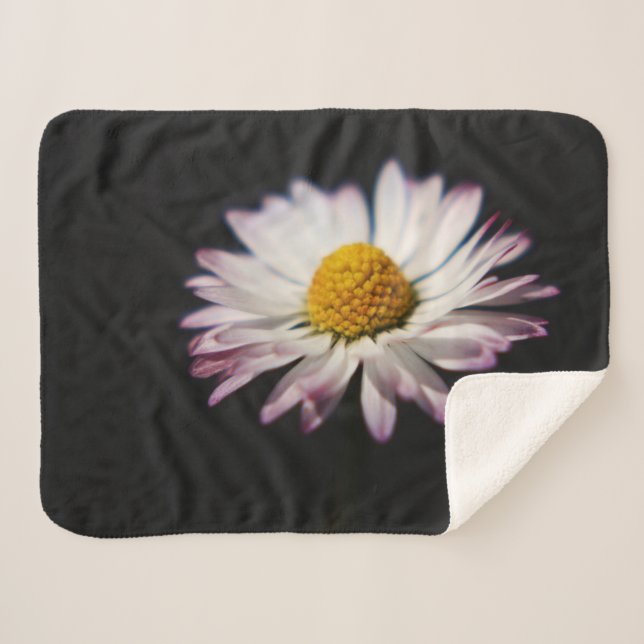 Common Daisy sbcnm Sherpa Blanket (Front (Horizontal))