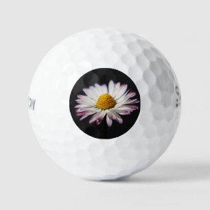 Common Daisy ssf gbcna Golf Balls
