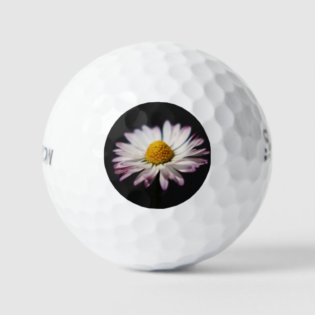 Common Daisy ssf gbcna Golf Balls (Front)