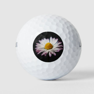 Common Daisy wu gbcna Golf Balls