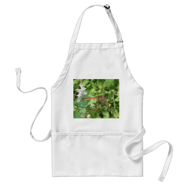 Common Darter Dragonfly Apron (Front)