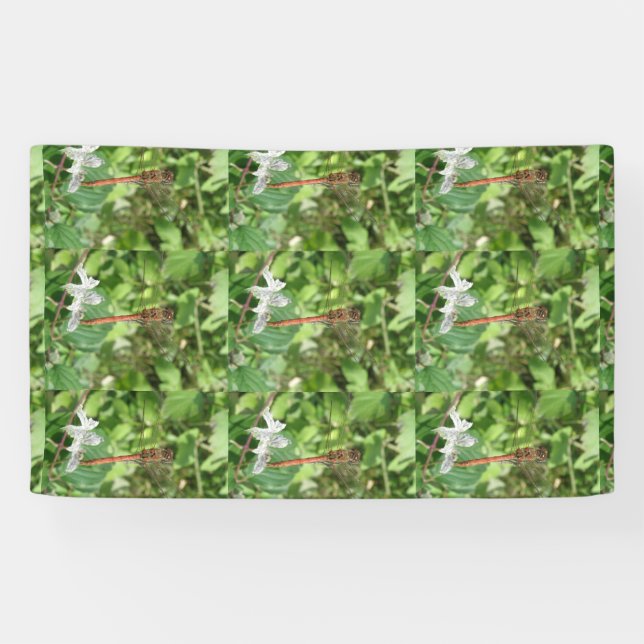 Common Darter Dragonfly Banner (Horizontal)