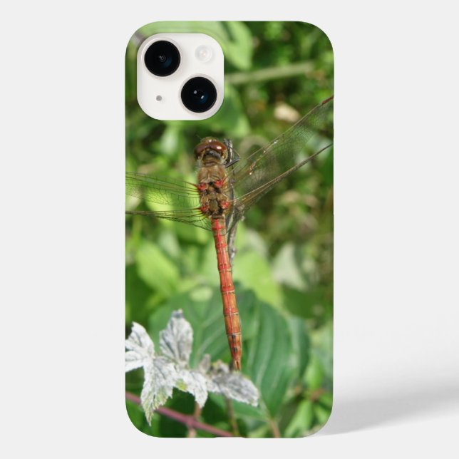 Common Darter Dragonfly Case-Mate iPhone Case (Back)