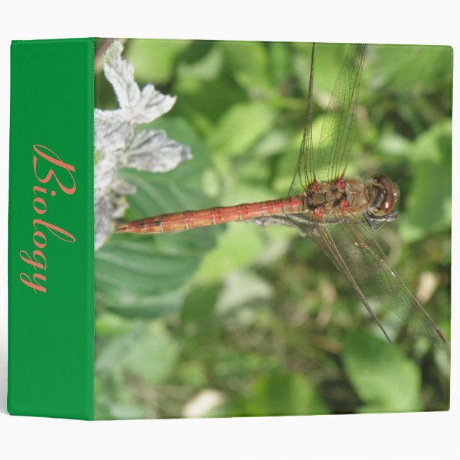 Common Darter Dragonfly Custom Biology Binder (Front/Spine)