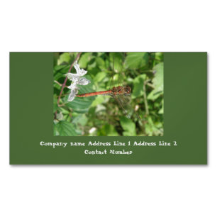 Common Darter Dragonfly Custom Business Cards