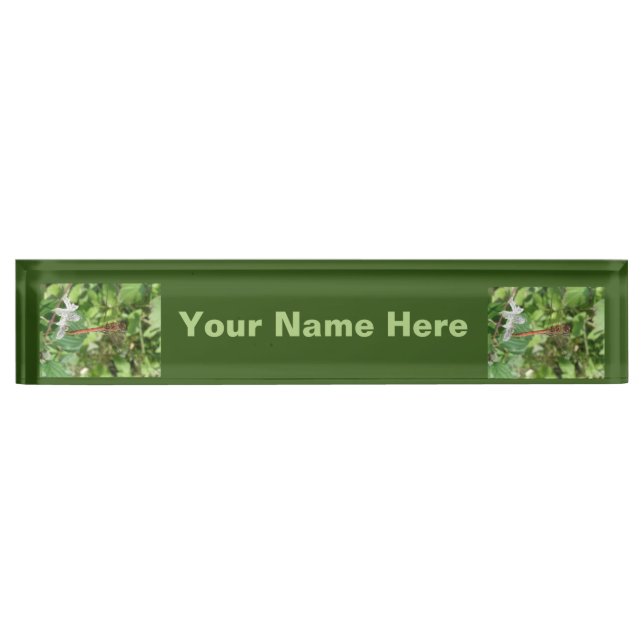 Common Darter Dragonfly Custom Nameplate (Front)