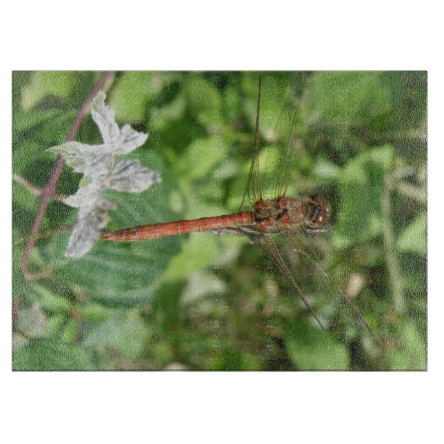 Common Darter Dragonfly Cutting Board (Front)