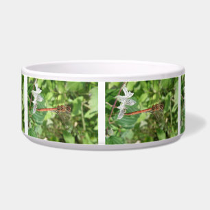 Common Darter Dragonfly Dog Bowl