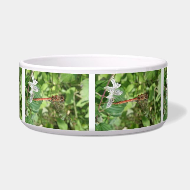Common Darter Dragonfly Dog Bowl (Front)