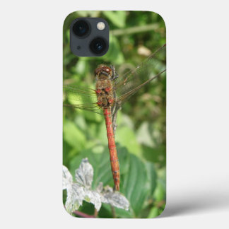 Common Darter Dragonfly iPad Case