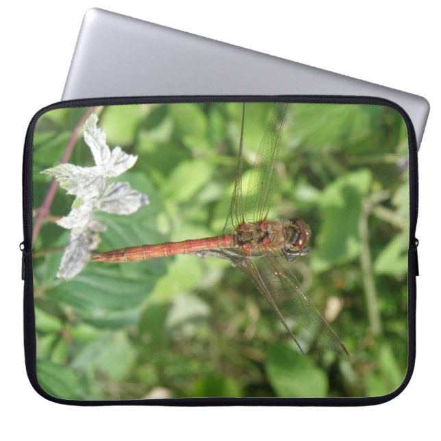 Common Darter Dragonfly Laptop Sleeve (Front)
