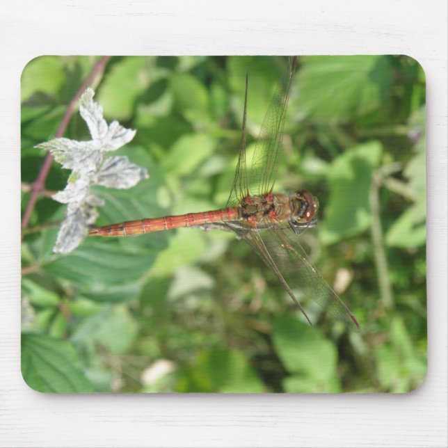 Common Darter Dragonfly Mousepad (Front)