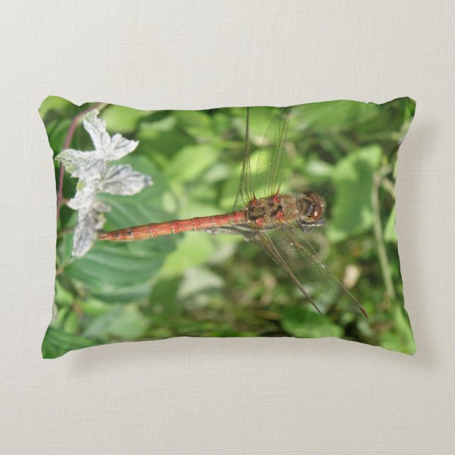 Common Darter Dragonfly Pillow (Front)