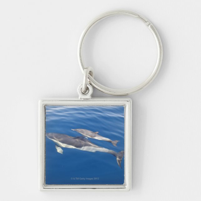 Common Dolphin in the strait Keychain (Front)