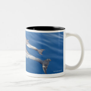 Common Dolphin in the strait Two-Tone Coffee Mug