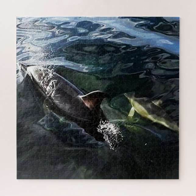 Common Dolphin Mom and Baby Jigsaw Puzzle (Horizontal)
