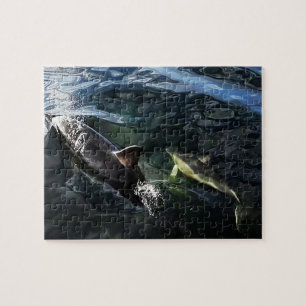 Common Dolphin Mum and Baby Jigsaw Puzzle