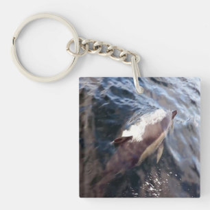 Common Dolphin Surfacing Keychain