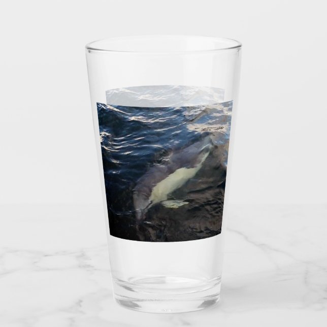 Common Dolphin Swimming  Glass (Front)