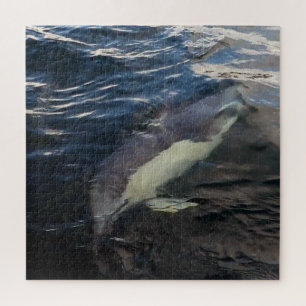 Common Dolphin Swimming Jigsaw Puzzle