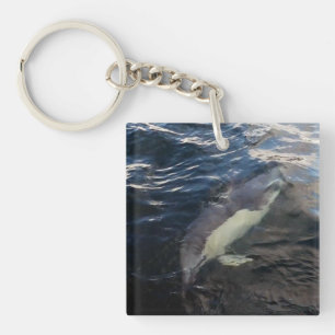 Common Dolphin Swimming  Keychain