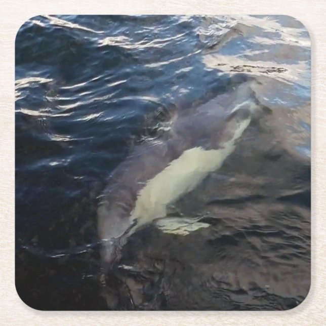 Common Dolphin Swimming Ocean Wildlife Blue Marine Square Paper Coaster (Front)