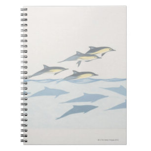 Common Dolphins Notebook