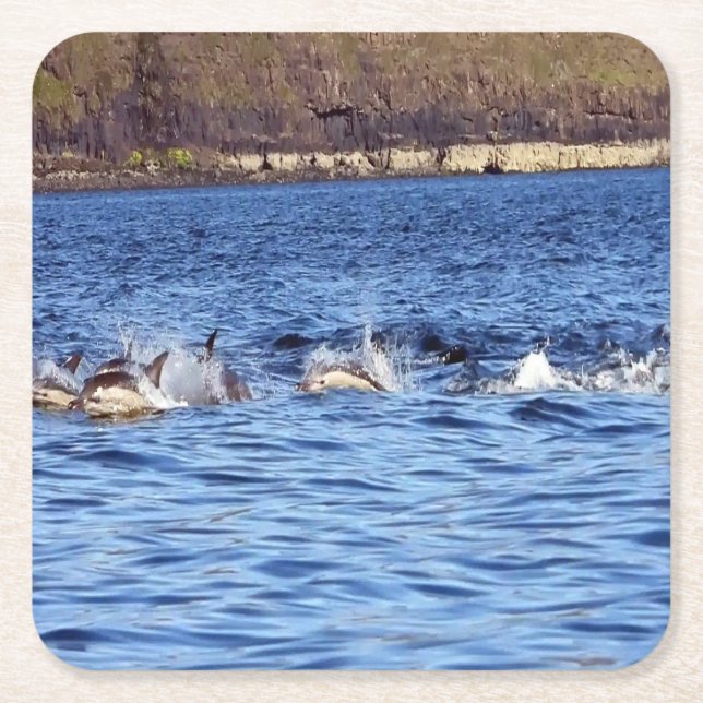 Common Dolphins Porpoising Coaster (Front)