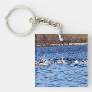Common Dolphins Porpoising Keychain