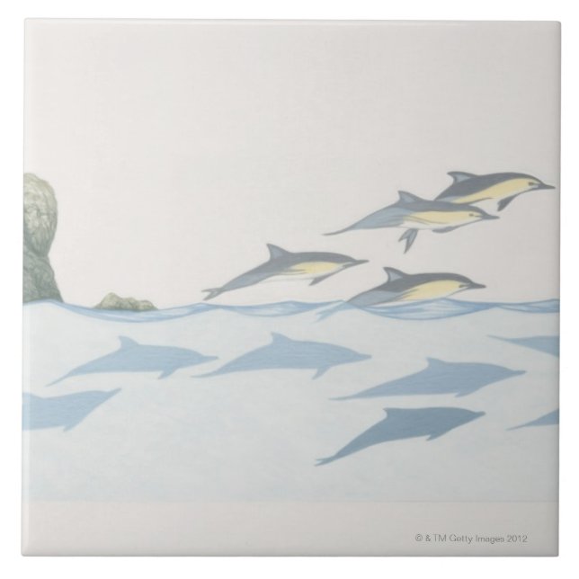Common Dolphins Tile (Front)
