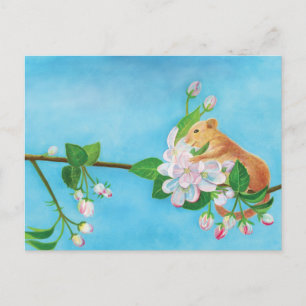 Common Dormouse on blooming branch of apple tree Postcard