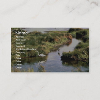 Common Egret Business Card