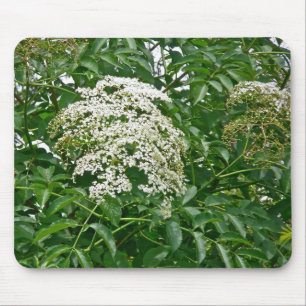 Common Elderberry Coordinating Items Mouse Pad
