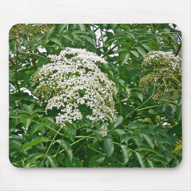 Common Elderberry Coordinating Items Mouse Pad (Front)