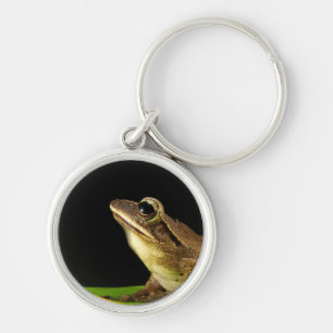 Common Frog on a Leaf Keychain