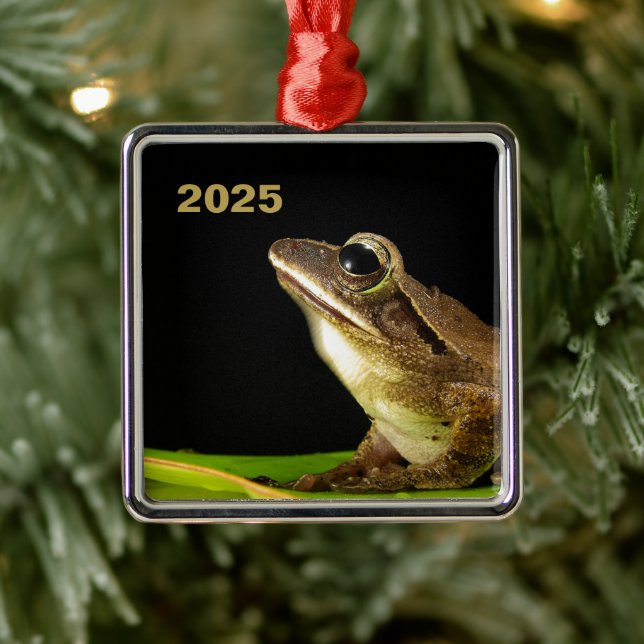 Common Frog on a Leaf Metal Ornament (Tree)