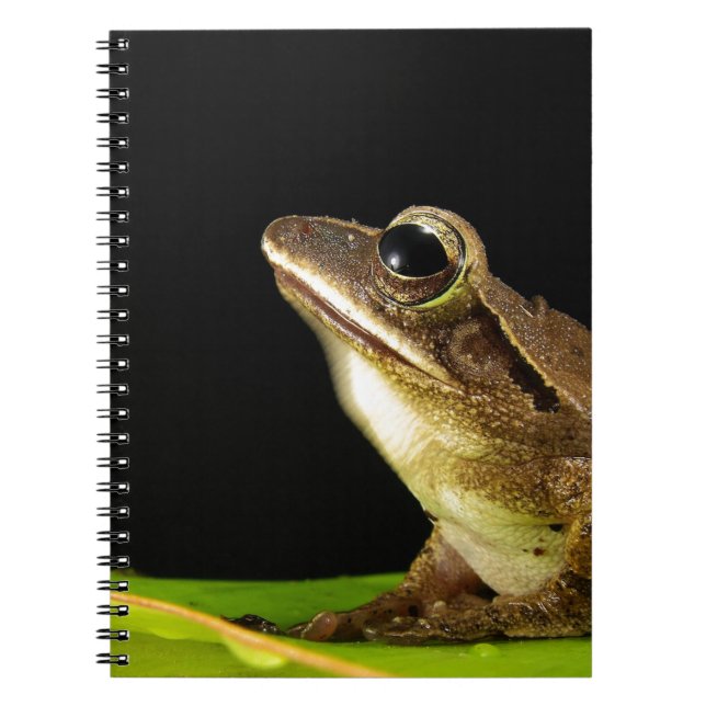 Common Frog on a Leaf Notebook (Front)