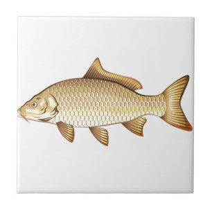 Common Golden Carp Vector Art Tile
