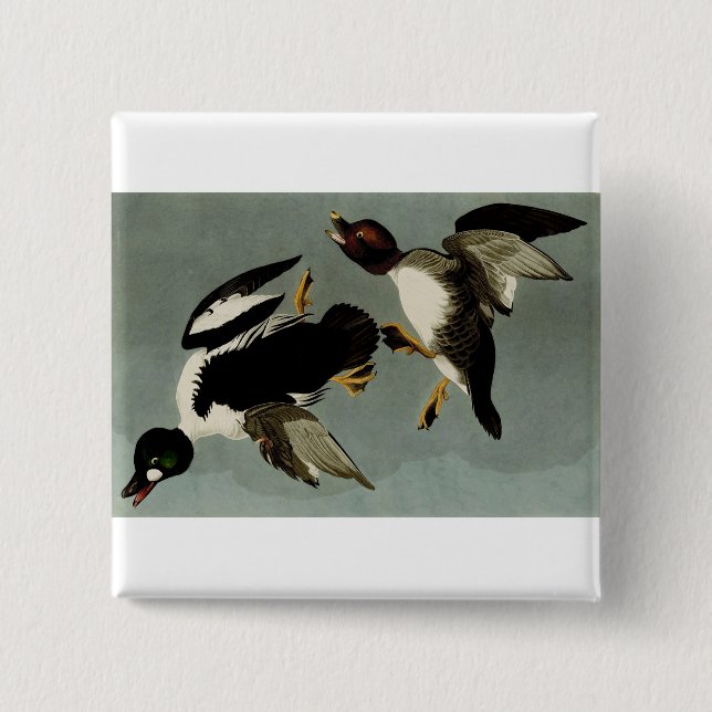Common goldeneye sea duck  2 inch square button (Front)