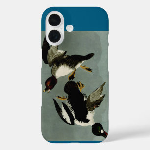 Common goldeneye sea duck iPhone 16 case