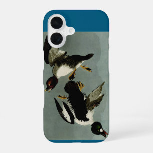 Common goldeneye sea duck iPhone 16 case